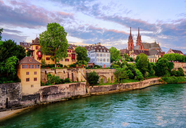 Basel chauffeur