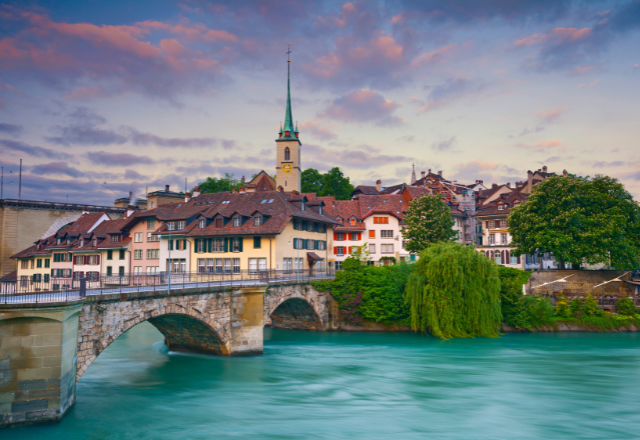 bern chauffeur from zurich